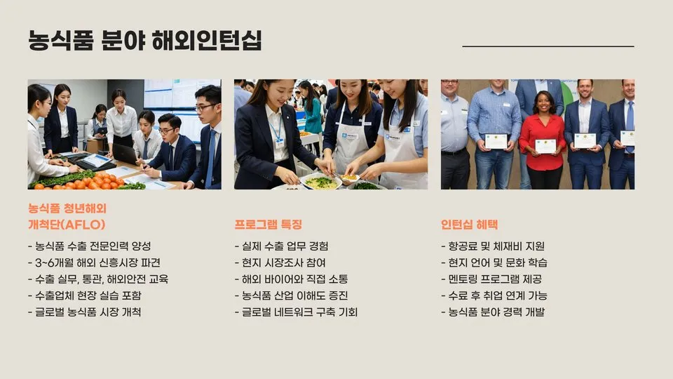 청년해외인턴십 이미지 10