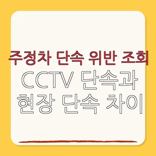주정차 단속 위반 조회CCTV 단속과현장 단속 차이