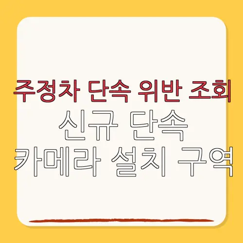 주정차 단속 위반 조회신규 단속카메라 설치 구역