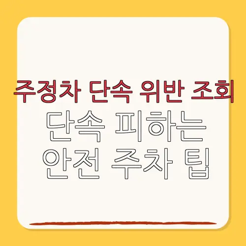 주정차 단속 위반 조회단속 피하는안전 주차 팁