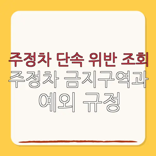 주정차 단속 위반 조회주정차 금지구역과예외 규정
