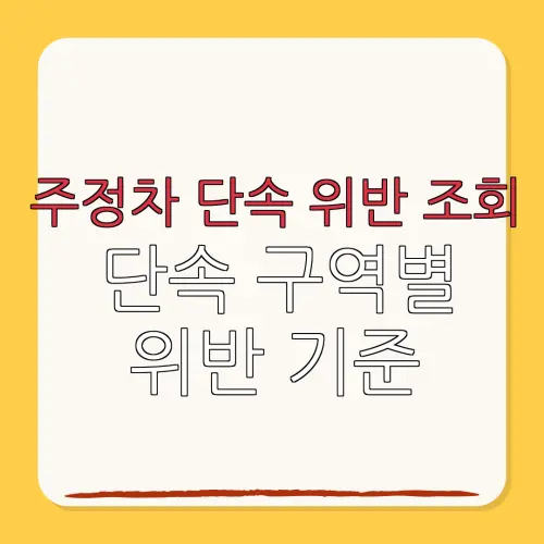 주정차 단속 위반 조회단속 구역별위반 기준