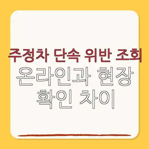 주정차 단속 위반 조회온라인과 현장확인 차이